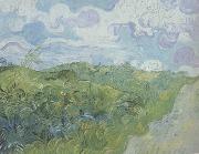 Vincent Van Gogh Green Wheat Fields (nn04) Spain oil painting artist